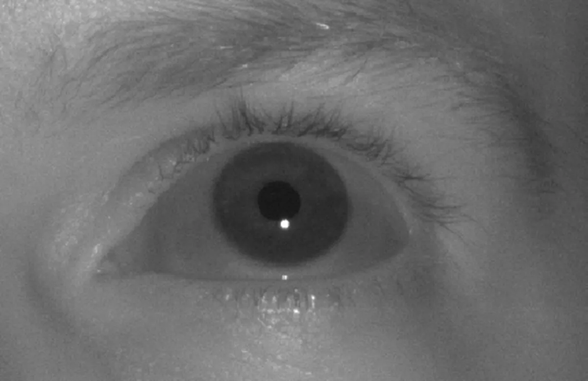 Zdjęcie oka w świetle bliskiej podczerwieni wykonane przez kamerę eye trackera Tobii — widoczna ciemna źrenica i jasny punkt odbicia światła na rogówce